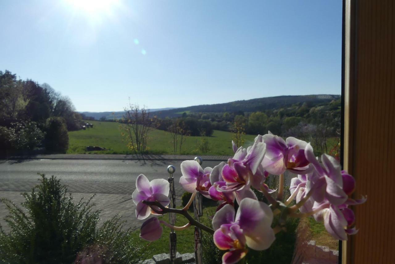 Fewo Sophia Appartement Idar-Oberstein Buitenkant foto